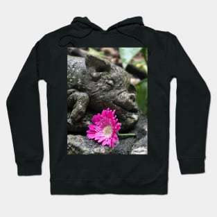 Stoney the Pig and Garvinia Hoodie